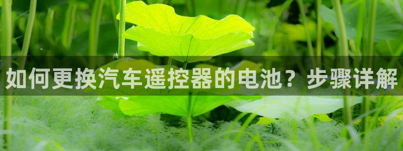 优发国际首页app