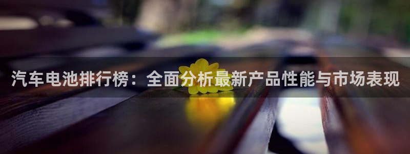 优发国际官网入口app下载安装：汽车电池排行榜：全面分析最新产品性能与市场表现