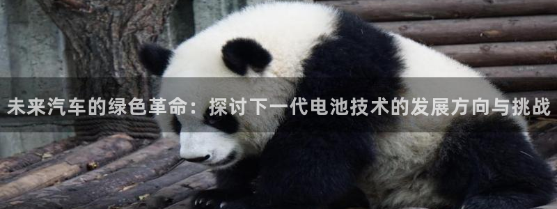 优发国际登录首页官网：未来汽车的绿色革命：探讨下一代电池技术的发展方向与挑战