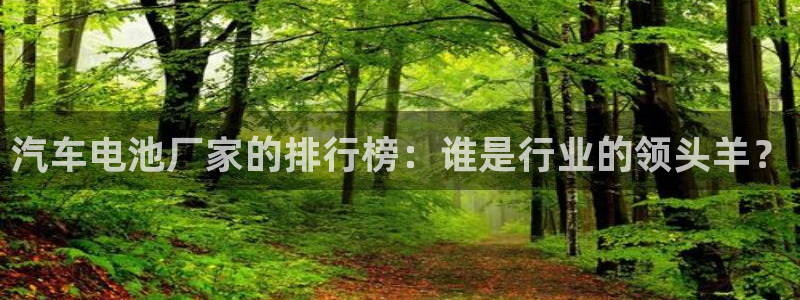优发国际官网入口app下载安装：汽车电池厂家的排行榜：谁是行业的领头羊？