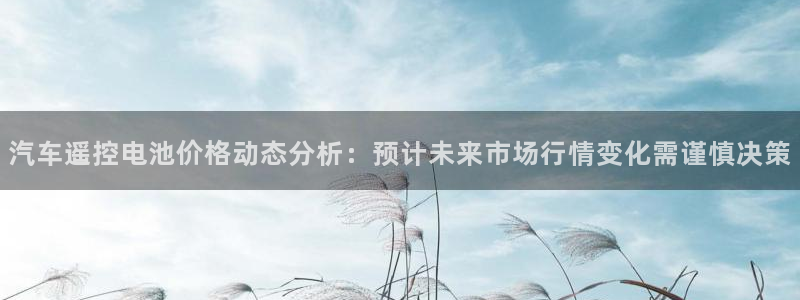 优发国际官网登录：汽车遥控电池价格动态分析：预计未来市场行情变化需谨慎决策