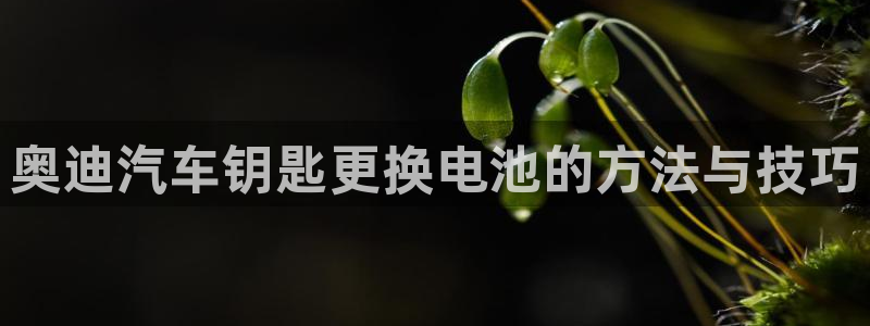 优发国际官方网手机版app：奥迪汽车钥匙更换电池的方法与技巧