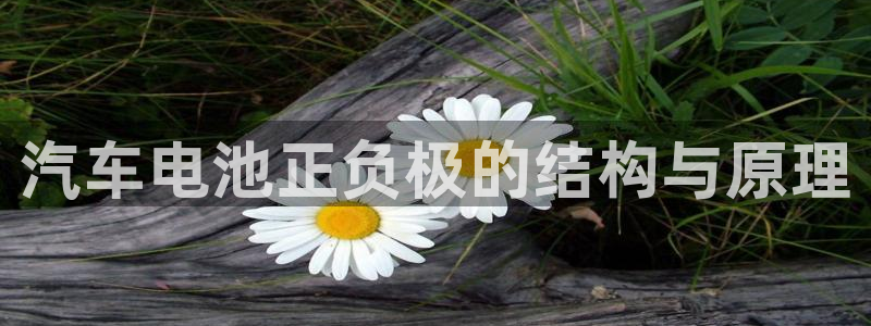 优发国际平台g8