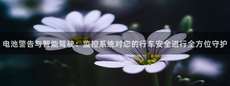 优发国际这个平台怎么样知乎：电池警告与智