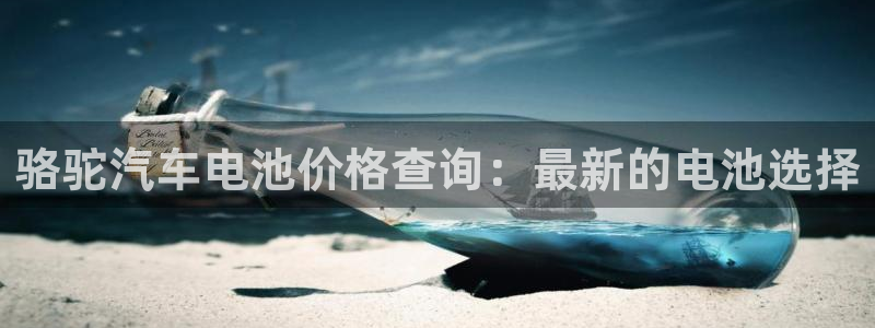 优发国际这个平台怎么样：骆驼汽车电池价格