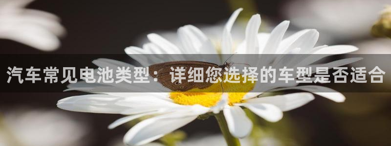 优发国际首页官网
