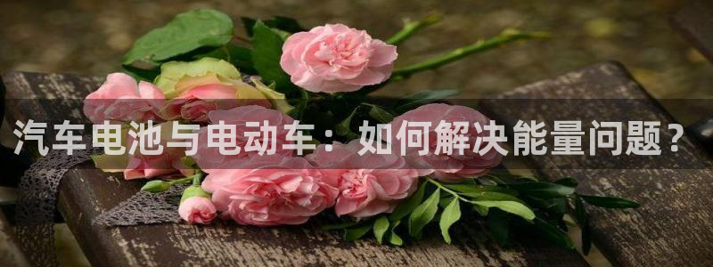 优发国际多少：汽车电池与电动车：如何解决
