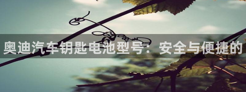 优发国际网官网17o8：奥迪汽车钥匙电池