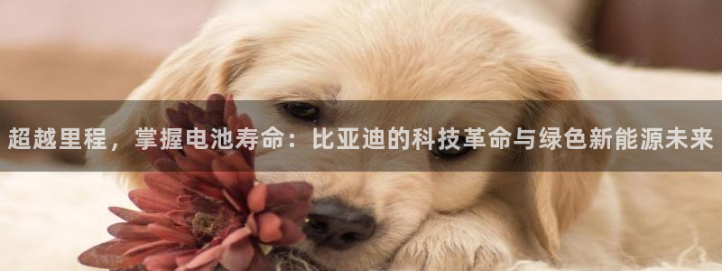 优发国际官网,首页网址：超越里程，掌握电池寿命：比亚迪的科技革命与绿色新能源未来