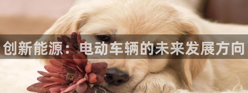 优发国际多少钱