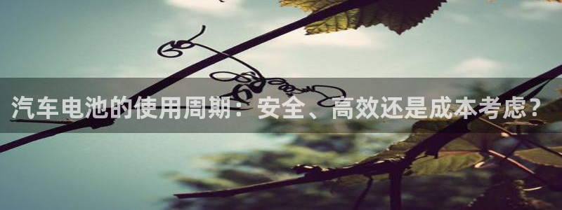 优发国际 干什么的：汽车电池的使用周期：安全、高效还是成本考虑？