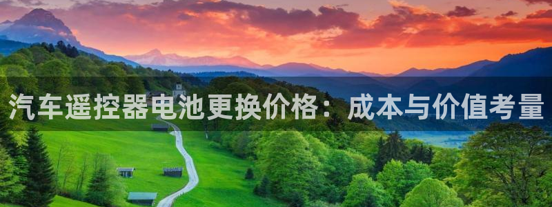 u优发国际首页：汽车遥控器电池更换价格：成本与价值考量