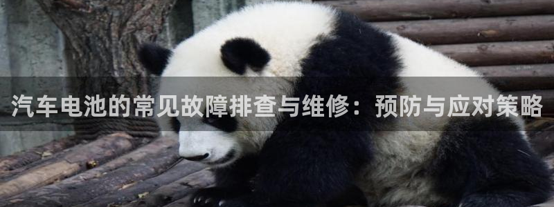 优发国际官网下载安装app：汽车电池的常见故障排查与维修：预防与应对策略