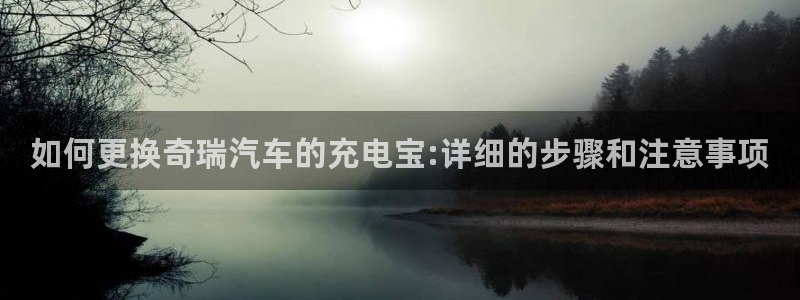 优发国际官网网站：如何更换奇瑞汽车的充电