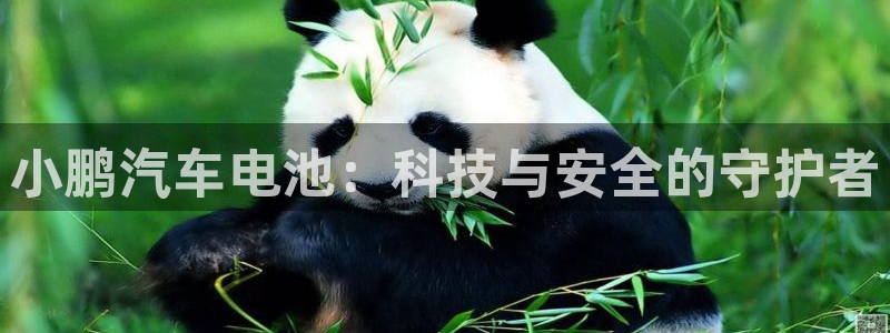 优发国际官网入口app下载苹果