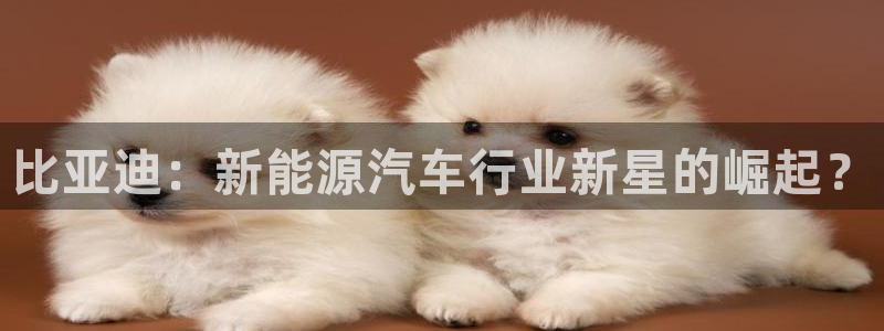 优发国际合并到哪里了最新消息