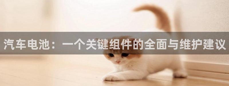 优发国际随优而动一触即发