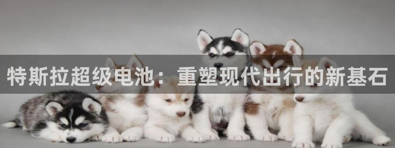 优发国际集团股份有限公司是国企吗