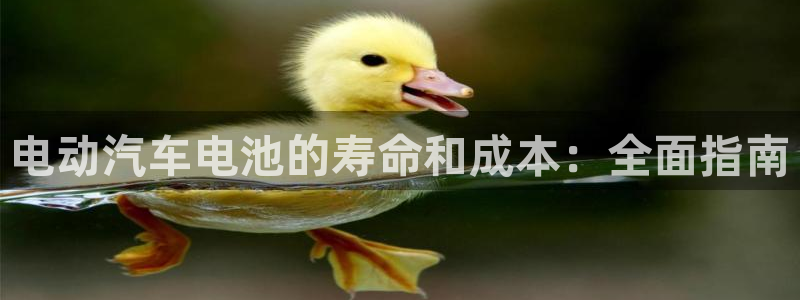 优发娱乐pt官网客户端：电动汽车电池的寿