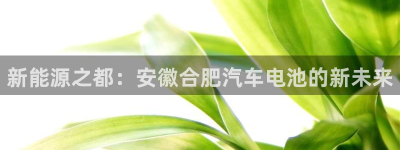 优发国际手机登录下载安装：新能源之都：安