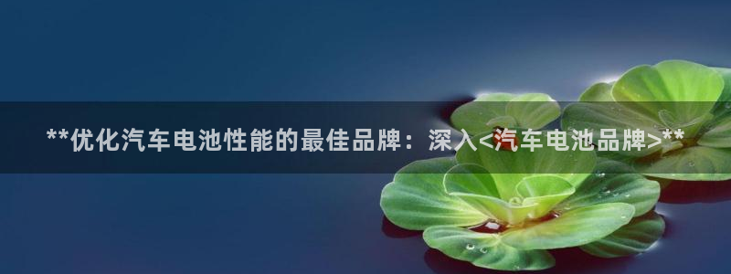 优发国际注册平台是什么：**优化汽车电池性能的最佳品牌：深入<汽车电池品牌>**