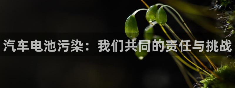 优发国际官网qy88