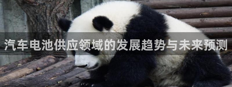 优发国际登录k8：汽车电池供应领域的发展趋势与未来预测