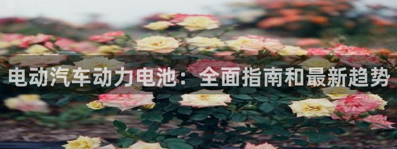 优发国际游戏官网：电动汽车动力电池：全面指南和最新趋势