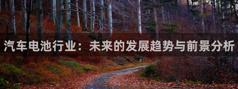 优发国际软件下载官网：汽车电池行业：未来的发展趋势与前景分析