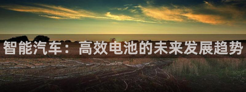 优发国际不出款了吗：智能汽车：高效电池的未来发展趋势