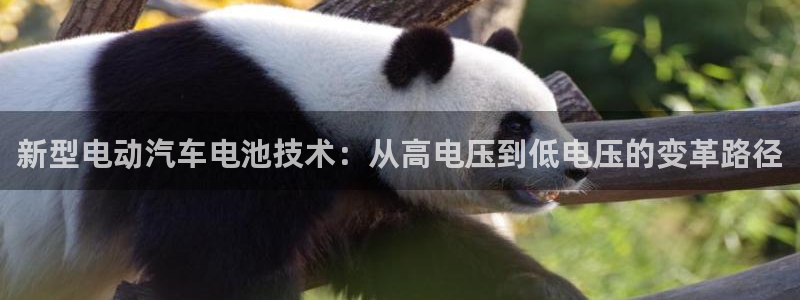 优发国际平台：新型电动汽车电池技术：从高电压到低电压的变革路径