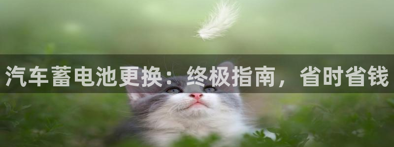 优发国际是什么：汽车蓄电池更换：终极指南，省时省钱