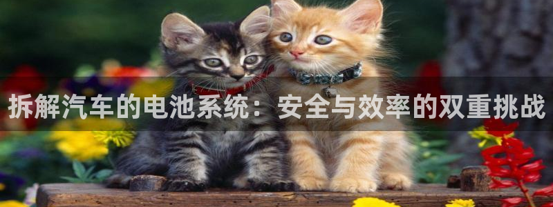 优发国际软件下载官网