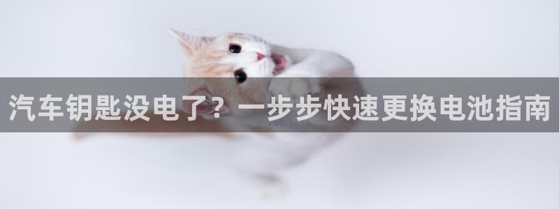 优发国际手机版唯一官网下载