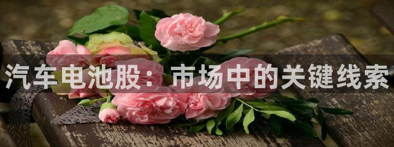 优发国际首页官网